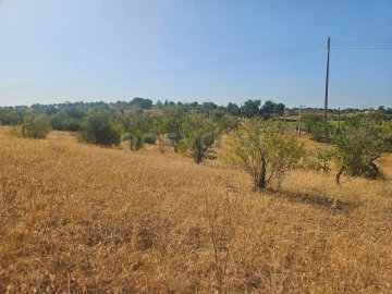 Terreno Agricola ou Rústico para Venda em Estômbar e Parchal