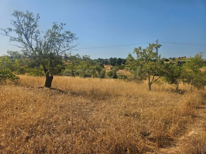 Terreno Agricola ou Rústico para Venda em Estômbar e Parchal Foto 9