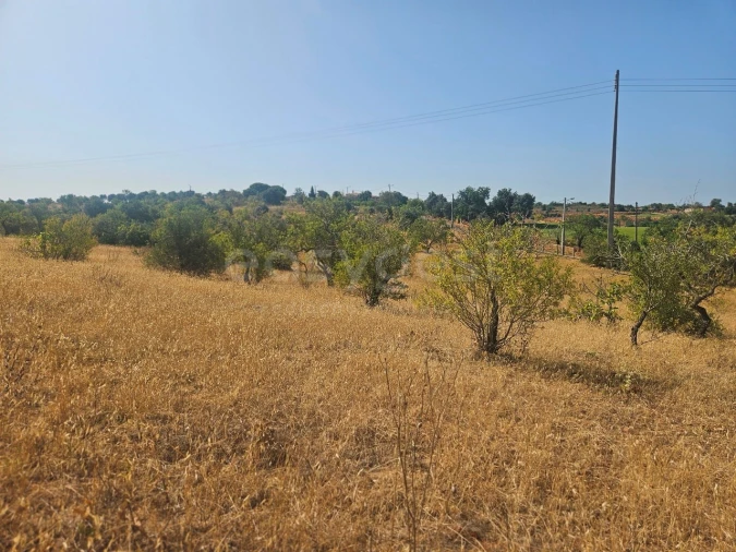 Terreno Agricola ou Rústico para Venda em Estômbar e Parchal Foto 11