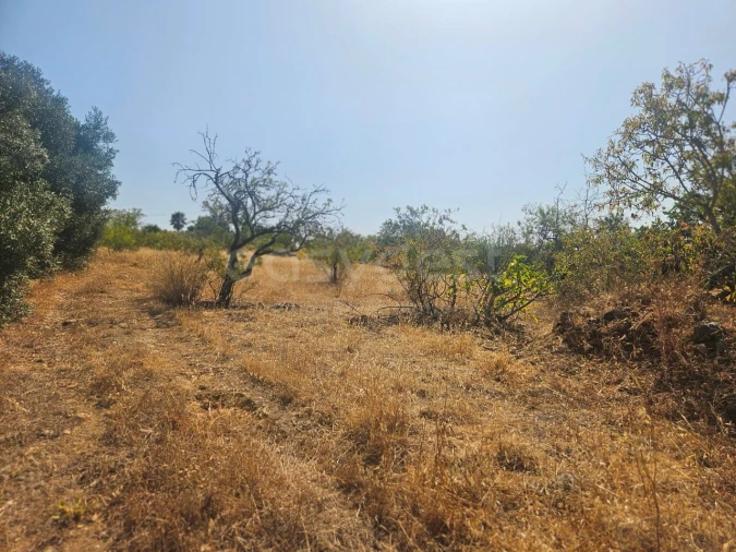 Terreno Agricola ou Rústico para Venda em Estômbar e Parchal Foto 12