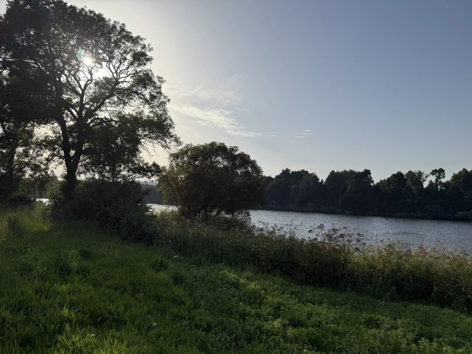 Terreno para Venda em Gondarem Foto 2