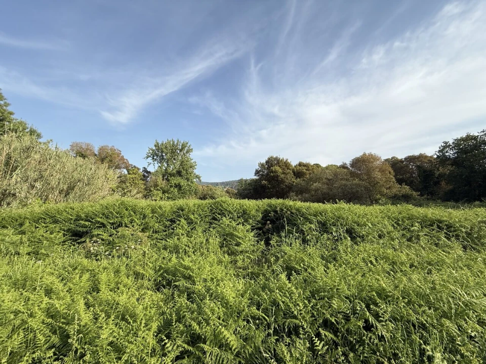 Terreno para Venda em Gondarem Foto 3