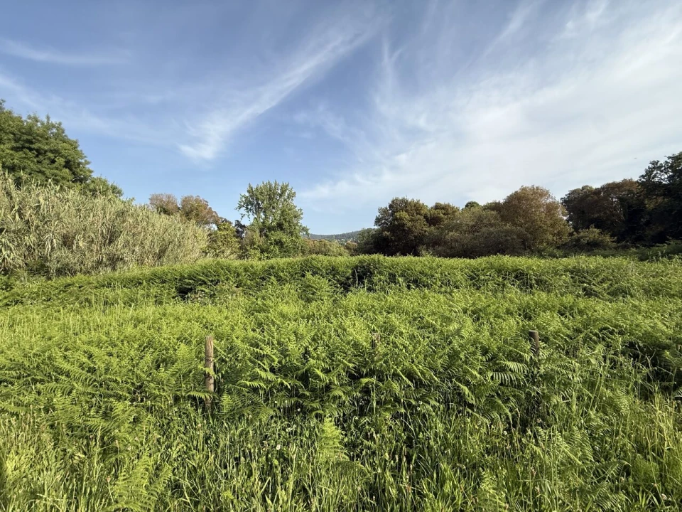 Terreno para Venda em Gondarem Foto 4