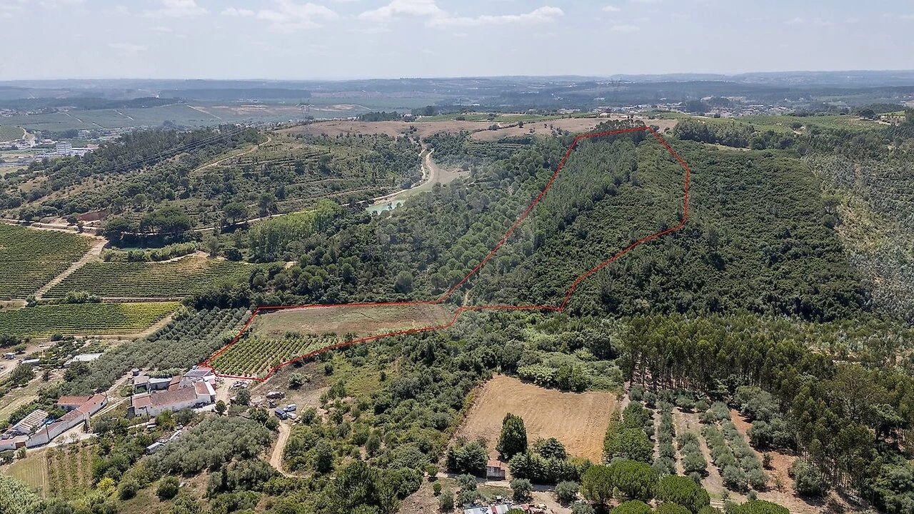 Terreno para Venda em Alcoentre Foto 12