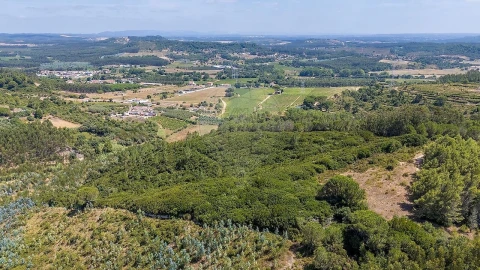 Terreno para Venda em Alcoentre