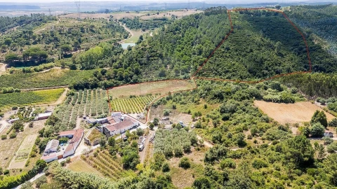 Terreno para Venda em Alcoentre