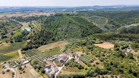 Terreno para Venda em Alcoentre