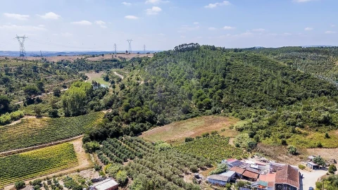 Terreno para Venda em Alcoentre