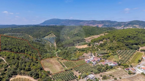 Terreno para Venda em Alcoentre
