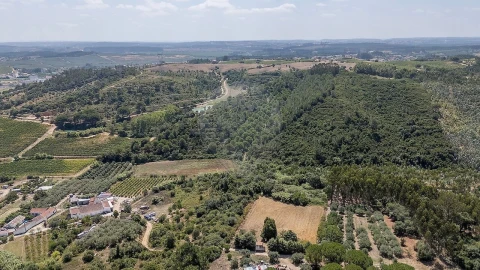 Terreno para Venda em Alcoentre