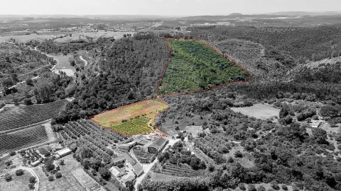 Terreno para Venda em Alcoentre
