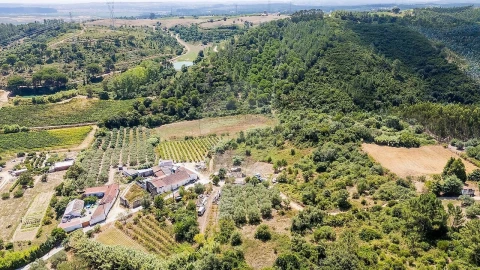 Terreno para Venda em Alcoentre