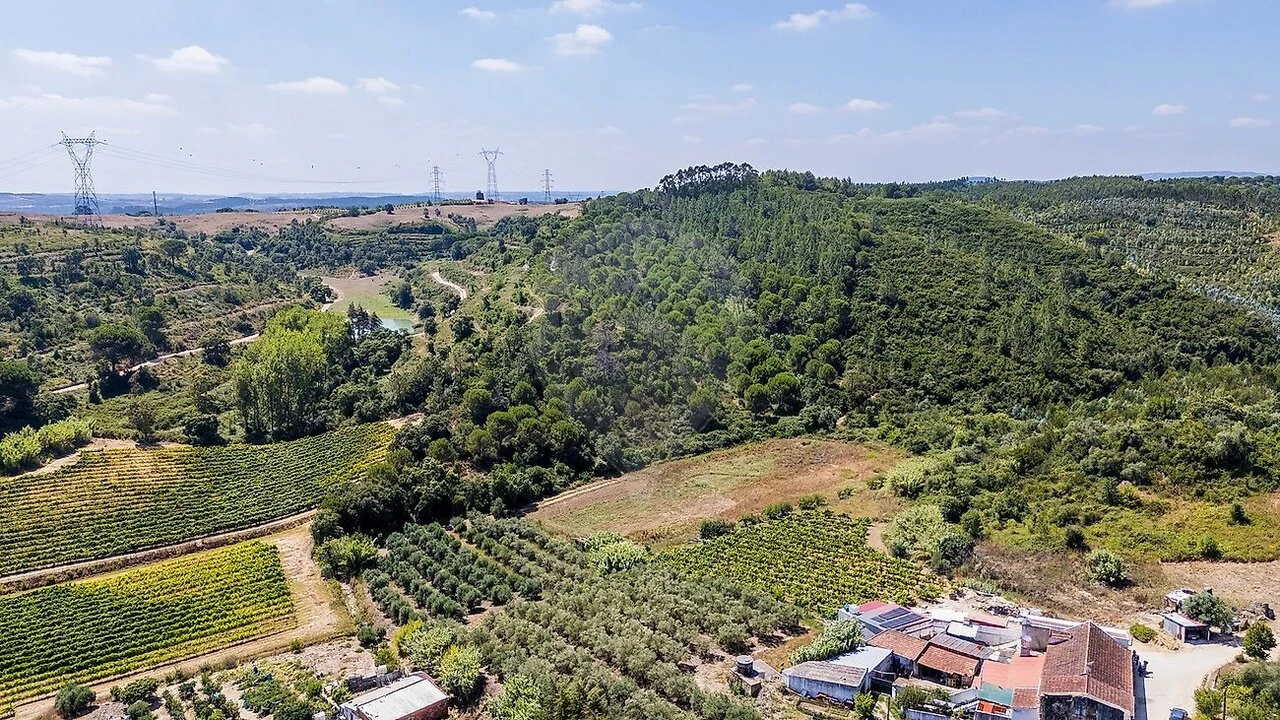Terreno para Venda em Alcoentre Foto 5