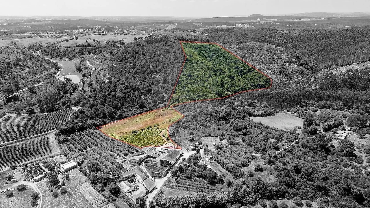 Terreno para Venda em Alcoentre Foto 1