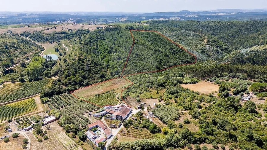 Terreno para Venda em Alcoentre Foto 3