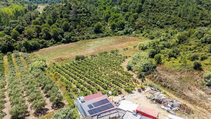 Terreno para Venda em Alcoentre Foto 11