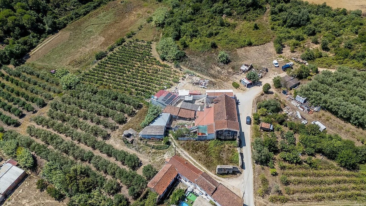 Terreno para Venda em Alcoentre Foto 22