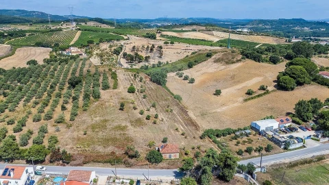 Terreno para Venda em Alcoentre
