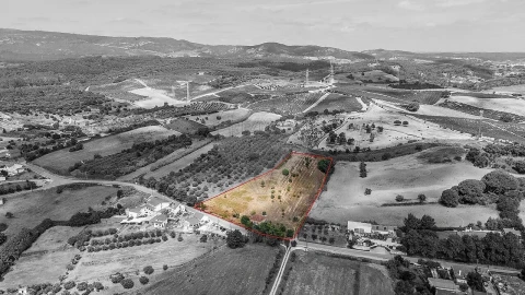 Terreno para Venda em Alcoentre