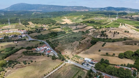 Terreno para Venda em Alcoentre