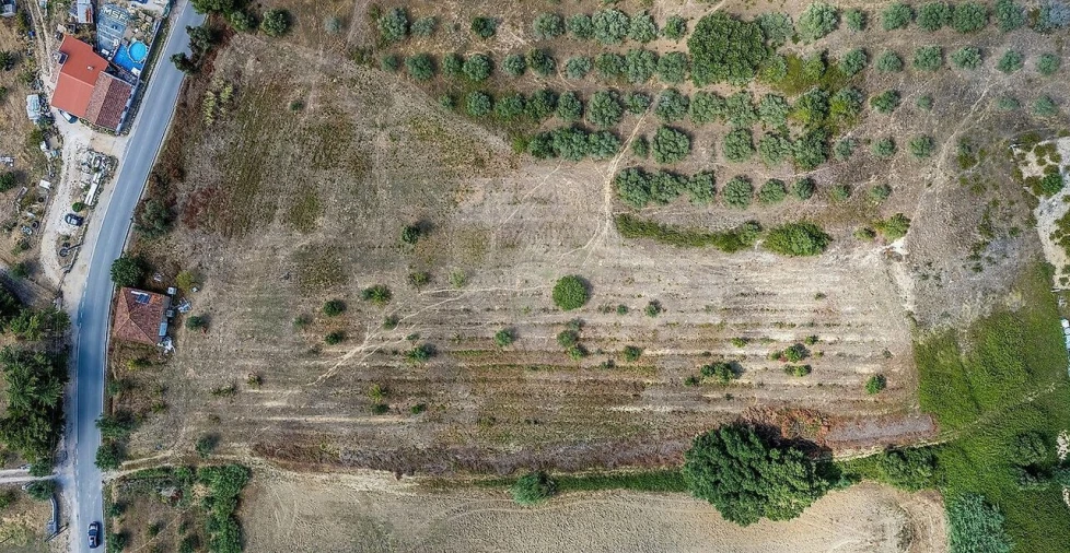 Terreno para Venda em Alcoentre Foto 12
