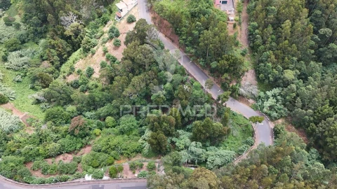 Terreno para Arrendamento em Santa Cruz