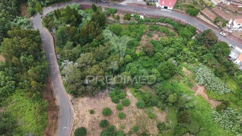 Terreno para Arrendamento em Santa Cruz