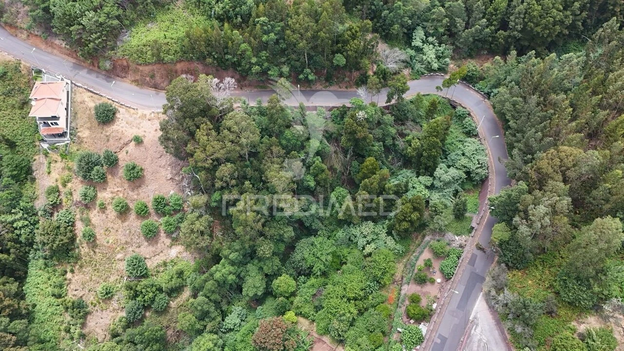 Terreno para Arrendamento em Santa Cruz Foto 5