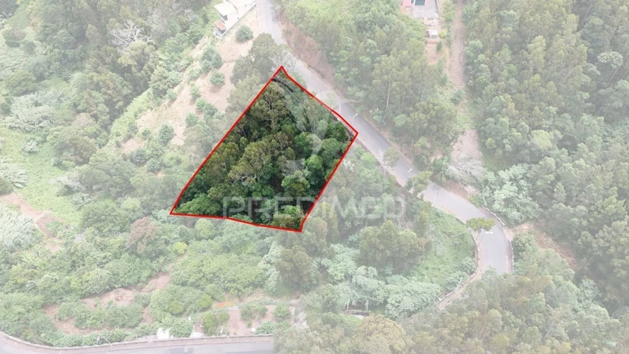 Terreno para Venda em Santa Cruz