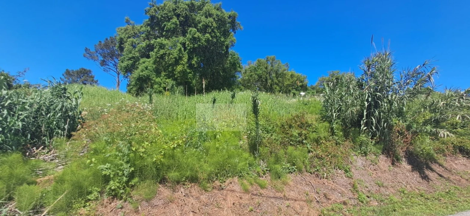 Terreno para Venda em Salir de Matos Foto 9