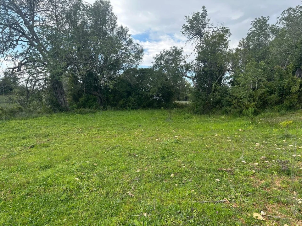 Terreno para Venda em Paderne Foto 5