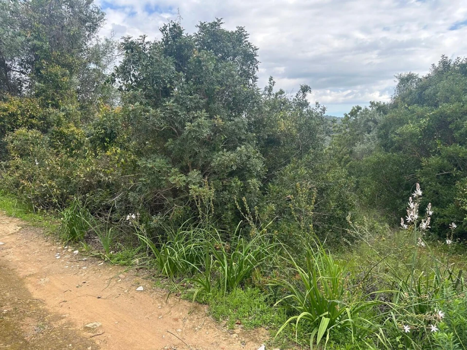 Terreno para Venda em Paderne Foto 9