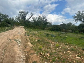 Terreno para Venda em Paderne
