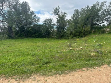 Terreno para Venda em Paderne