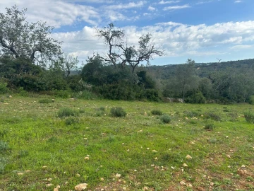 Terreno para Venda em Paderne