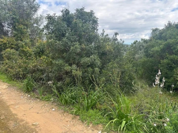 Terreno para Venda em Paderne
