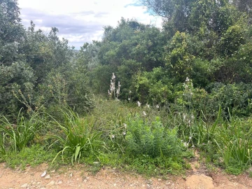 Terreno para Venda em Paderne