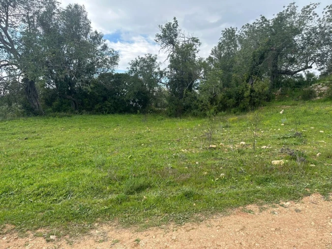 Terreno para Venda em Paderne Foto 4