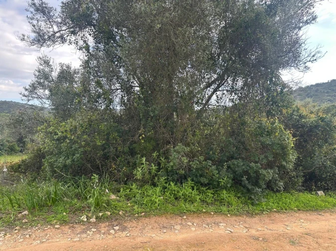 Terreno para Venda em Paderne Foto 7