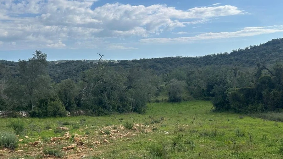 Terreno para Venda em Paderne