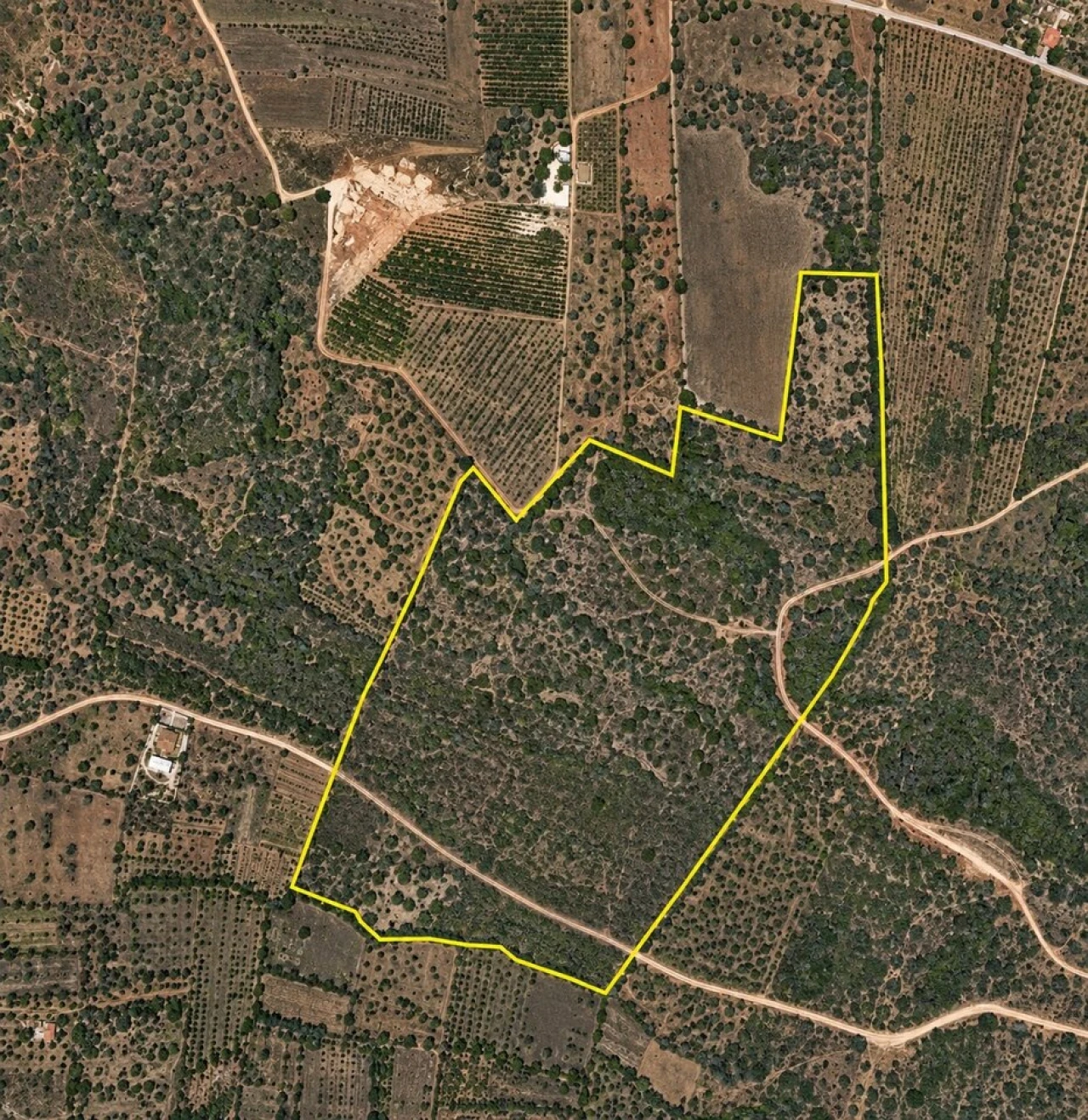 Terreno para Venda em São Bartolomeu de Messines Foto 5