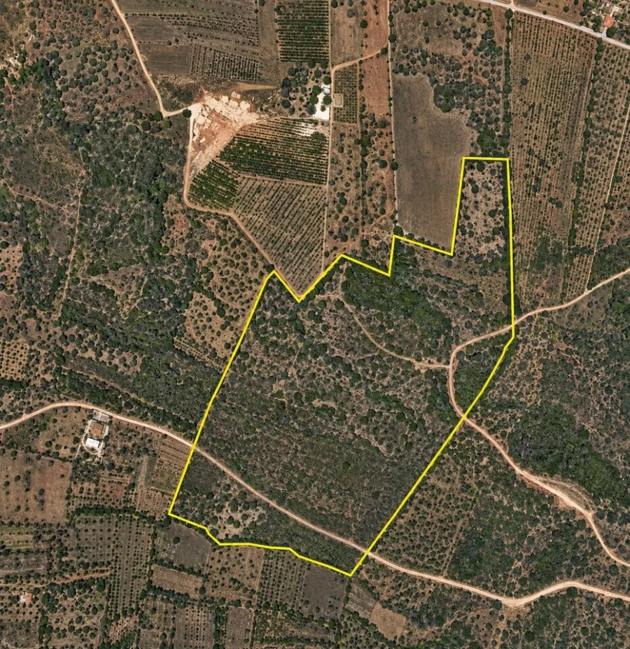 Terreno para Venda em São Bartolomeu de Messines Foto 5