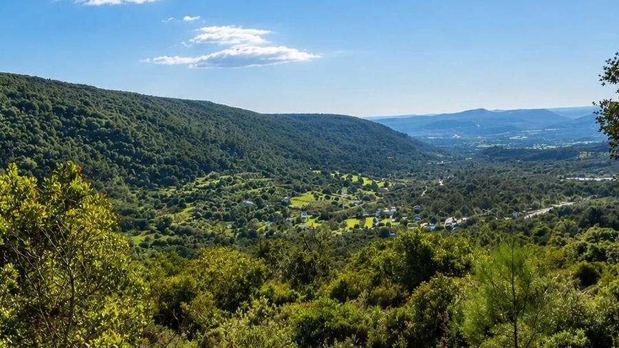 Terreno para Venda em São Bartolomeu de Messines