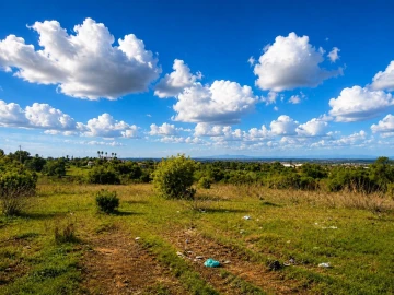 Moradia T2 para Venda em Alcantarilha e Pêra