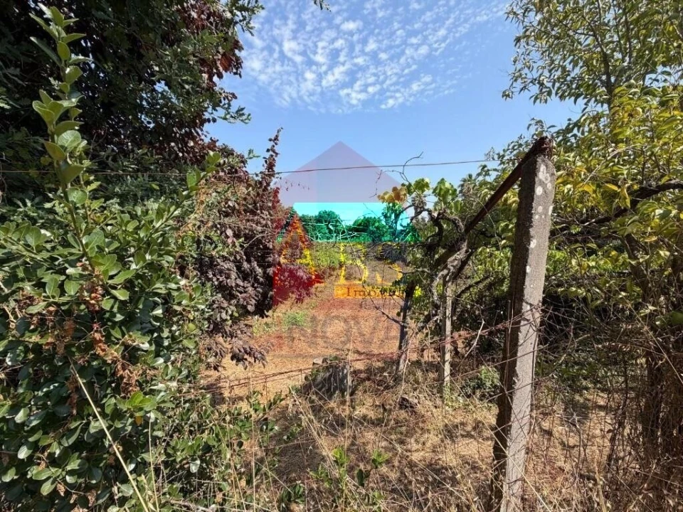 Terreno para Venda em Palmeira Foto 6