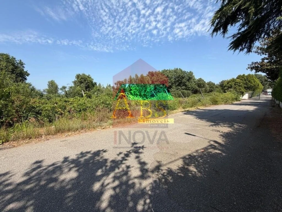 Terreno para Venda em Palmeira Foto 12