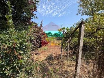 Terreno para Venda em Palmeira