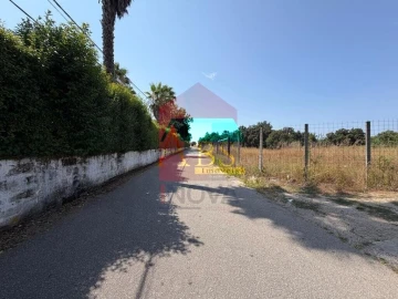 Terreno para Venda em Palmeira