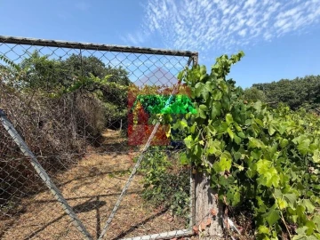Terreno para Venda em Palmeira