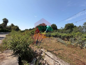 Terreno para Venda em Palmeira